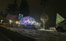 Igloo In The Woods - New, Warm And Inspiring